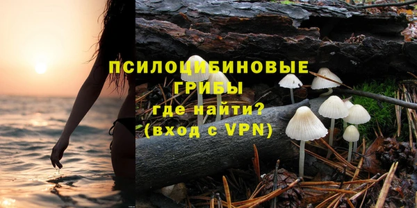 дмт Лагань