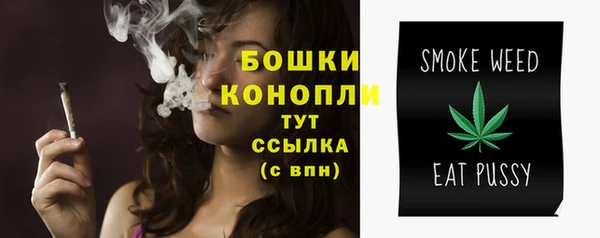 дмт Лагань