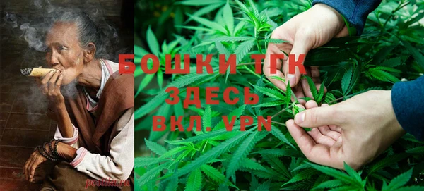 дмт Лагань