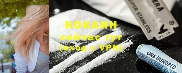 дмт Лагань