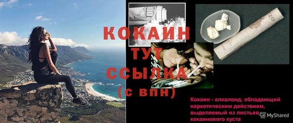 дмт Лагань