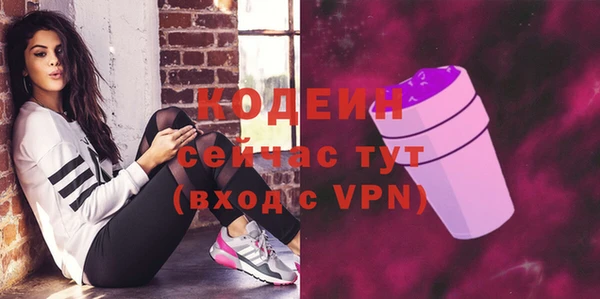дмт Лагань