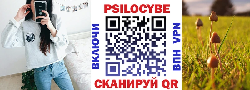 Галлюциногенные грибы Cubensis Купить Льгов